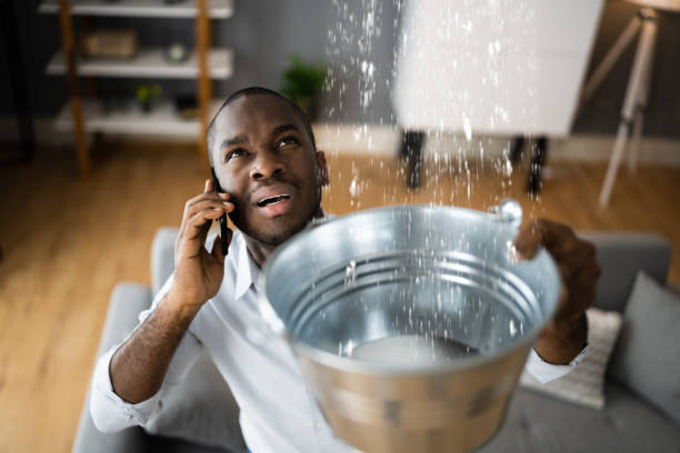Best Residential water damage restoration  in Greenwood Village, CO