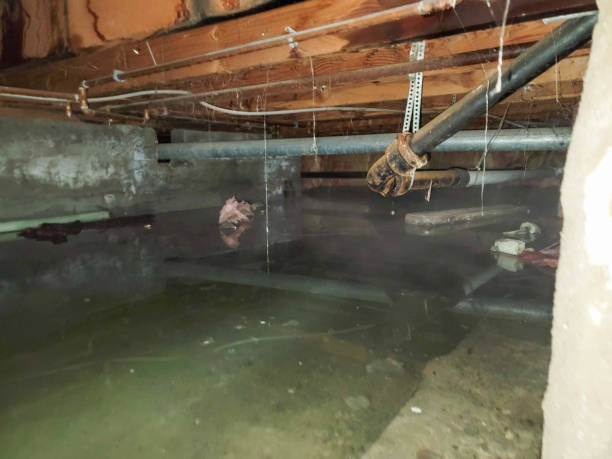 Best Flood restoration services  in Greenwood Village, CO