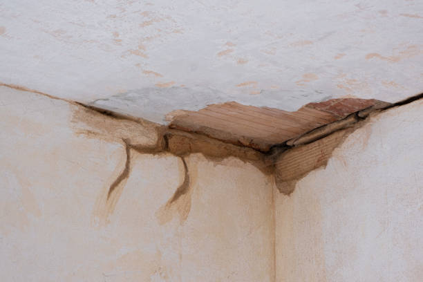 Best Water damage restoration near me  in Greenwood Village, CO