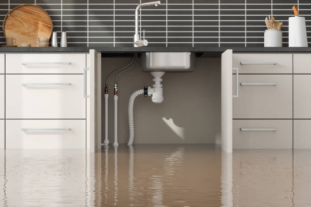 Water damage restoration process in CO