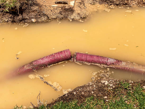 Best Basement water damage restoration  in Greenwood Village, CO