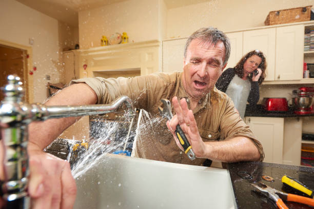 Best Flooded house restoration  in Greenwood Village, CO